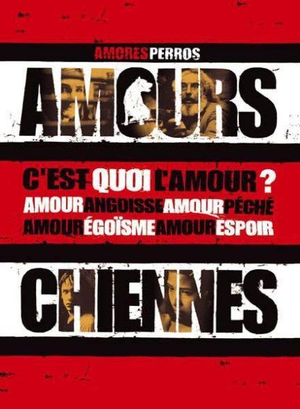 فیلم Amores Perros 2000 | عشق سگی